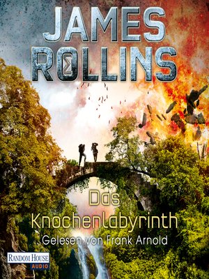 cover image of Das Knochenlabyrinth